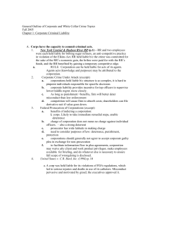 General Outline of Corporate and White Collar Crime Topics