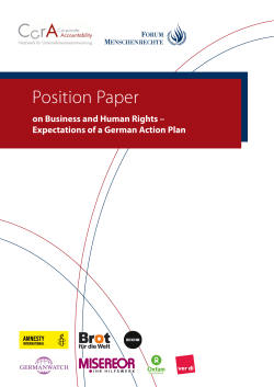 Position Paper on Business and Human Rights