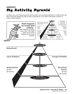 My Activity Pyramid - MSU Extension