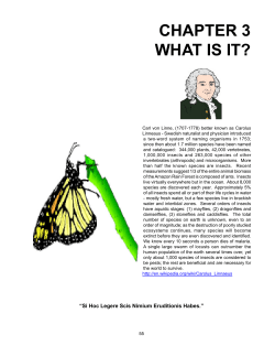 chapter 3 what is it?