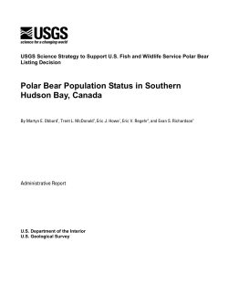 Polar Bear Population Status in Southern Hudson Bay