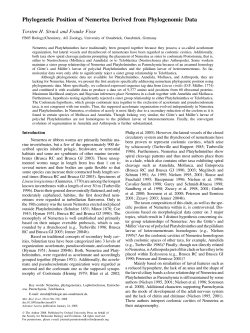 Phylogenetic Position of Nemertea Derived from