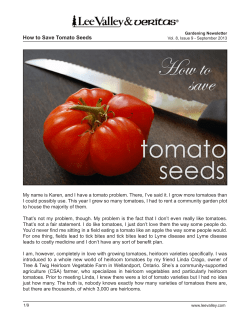 How to Save Tomato Seeds