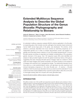 Extended Multilocus Sequence Analysis to Describe the Global