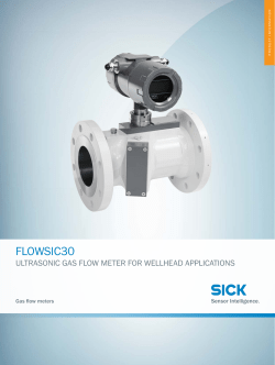 FLOWSIC30 Gas flow meters