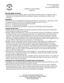Herbivore - University of Wyoming