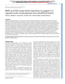 BMPs and FGFs target Notch signalling via jagged 2