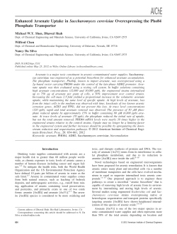 Enhanced arsenate uptake in Saccharomyces