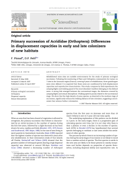 Primary succession of Acrididae (Orthoptera): Differences in
