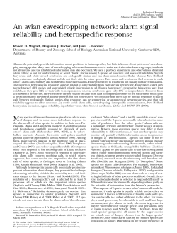 An avian eavesdropping network: alarm signal