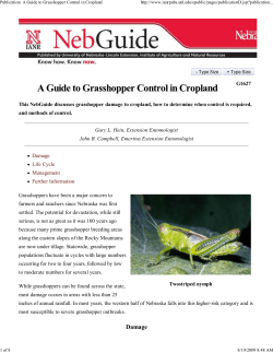Grasshopper Control - the Wyoming Wheat Growers Association