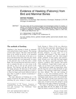 Evidence of hawking (falconry) from bird and mammal bones