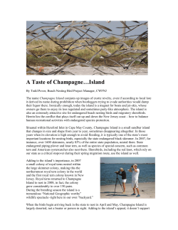 A Taste of Champagne&hellip;Island - Conserve Wildlife Foundation