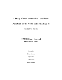 A Study of the Comparative Densities of Parrotfish on the North and