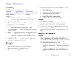 Chapter 8 Assessment