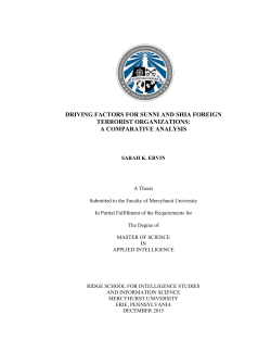 driving factors for sunni and shia foreign terrorist organizations