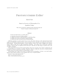 Photosynthesis EnBio