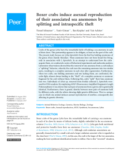 Boxer crabs induce asexual reproduction of their associated sea