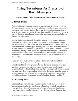 Firing Techniques for Prescribed Burn Managers