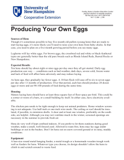 Producing Your Own Eggs - UNH Cooperative Extension