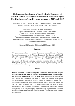High population density of the Critically