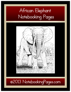 African Elephant Notebooking Pages &copy;2013 NotebookingPages.com