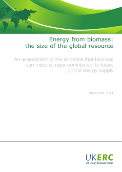 Energy from biomass: the size of the global resource