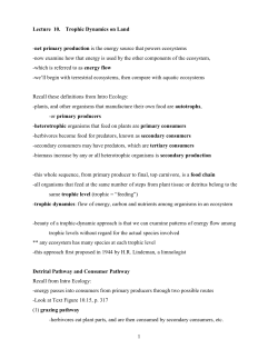 Lecture 10-11 secondary production