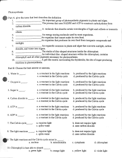 PhQtosynthesis Part A: Nve the term that best describes the
