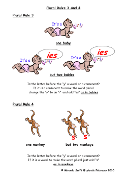 Plural Rule 4 Plural Rule 3