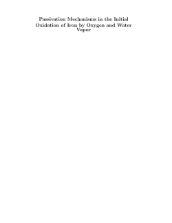Passivation Mechanisms in the Initial Oxidation of Iron by Oxygen