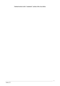 "comments" section of the visa sticker