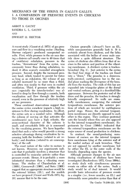 Mechanics of the Syrinx in Gallus gallus. IA Comparison of Pressure