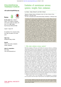 Evolution of eumetazoan nervous systems: insights from cnidarians