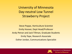 Day-neutral Low Tunnel Strawberry Project