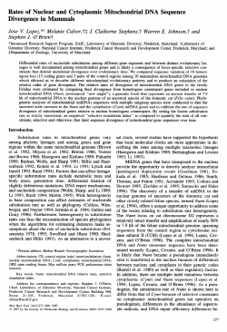 Rates of Nuclear and Cytoplasmic Mitochondrial DNA Sequence