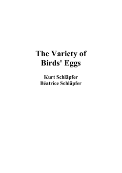 The Variety of Birds` Eggs
