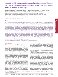 Long-Lived Dichotomous Lineages of the Proteasome Subunit Beta