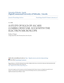 a study of eggs of ascaris lumbricoides var. suum with the electron