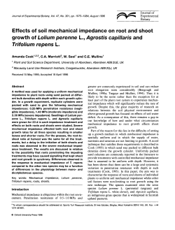 Effects of soil mechanical impedance on root and shoot growth of