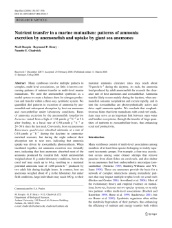 Nutrient transfer in a marine mutualism: patterns