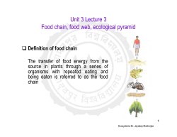 Unit 3 Concept of ecosystem