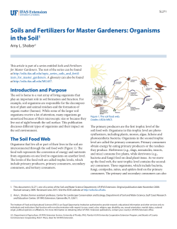 Soils and Fertilizers for Master Gardeners - EDIS