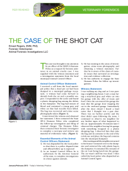 ThE CASE OF ThE ShOT CAT - Today`s Veterinary Practice