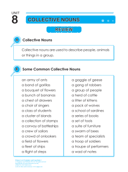 8 CollECtIVE nouns - Singapore Asia Publishers