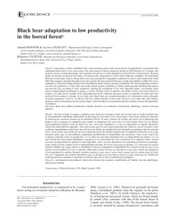 Black Bear Adaptation To Low Productivity In The