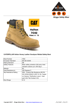 Briggs Safety Wear