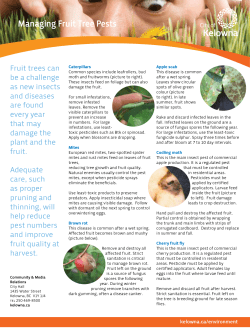 Managing Fruit Tree Pests