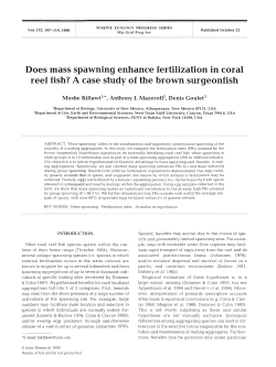 Does mass spawning enhance fertilization in coral