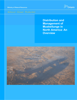 Distribution and Management of Muskellunge in North America